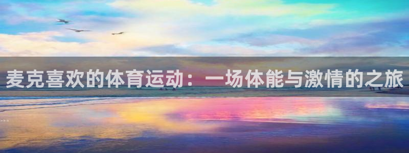 三亿体育网页版
