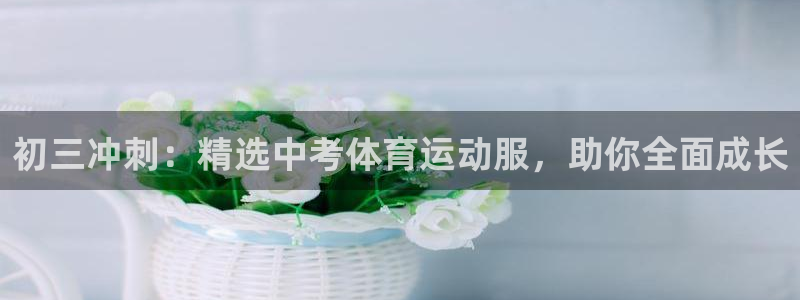 三亿体育网页版