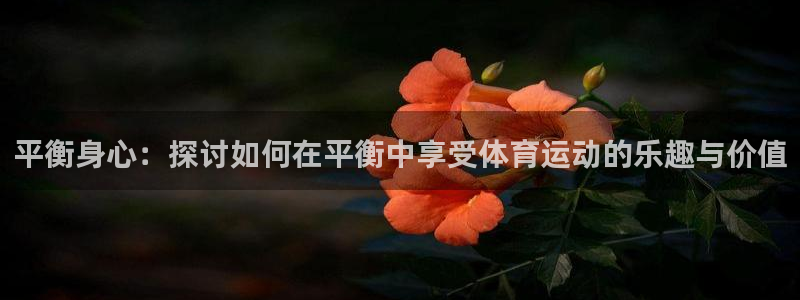 三亿体育网页版