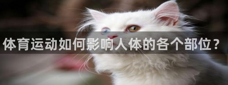 三亿体育网