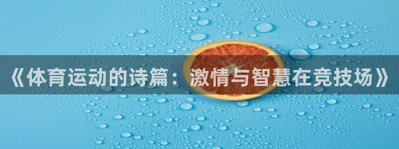 三亿体育网