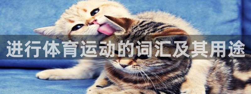 三亿体育网页版