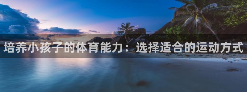 三亿体育网页版